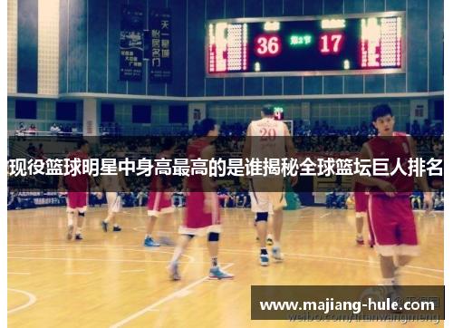 现役篮球明星中身高最高的是谁揭秘全球篮坛巨人排名