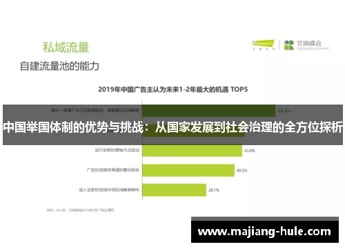 中国举国体制的优势与挑战：从国家发展到社会治理的全方位探析